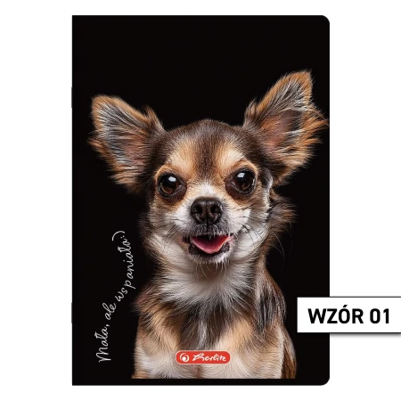 Wzór 01