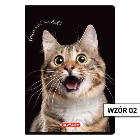 Wzór 02
