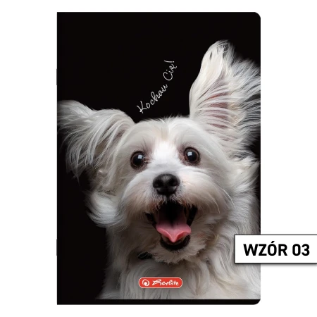 Wzór 03