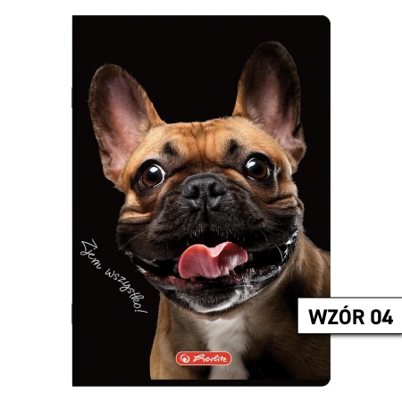 Wzór 04