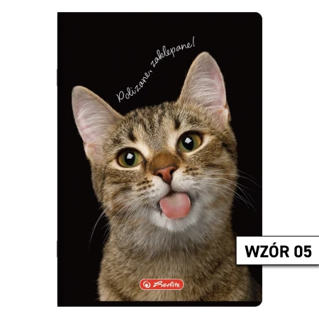 Wzór 05