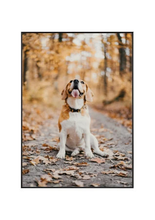 Plakat w cienkiej aluminiowej przykład.