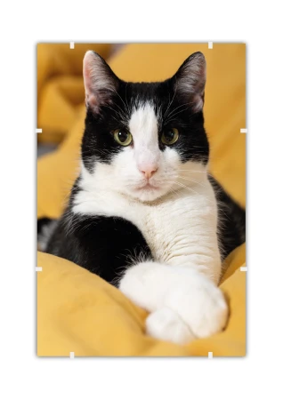 Plakat w antyramie_v2