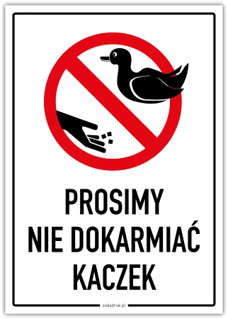 Prosimy nie dokarmiać kaczek – tabliczka