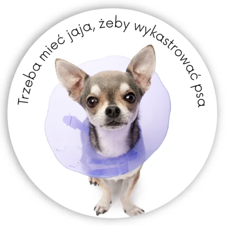 Sterylizacja i kastracja zwierząt Kampania Społeczna - naklejki fi50mm