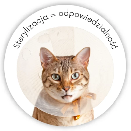 Sterylizacja i kastracja zwierząt Kampania Społeczna - naklejki fi60mm