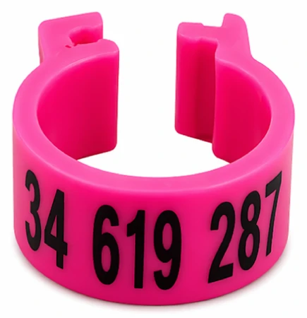 Znaczniki dla gołębi z numerem telefonu