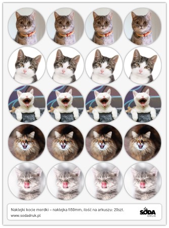 Naklejki kocie mordki - 20 sztuk