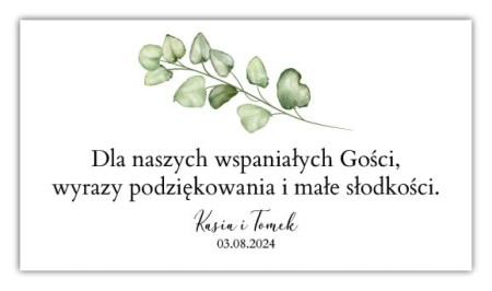 naklejki_na_ciasto_90x50_v6_Obszar roboczy 1 kopia 2.jpg